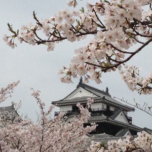松山城