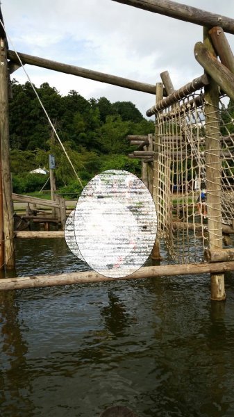 清水公園