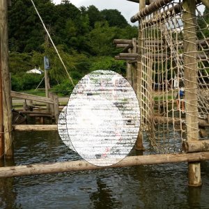 清水公園