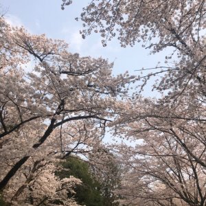 大神神社