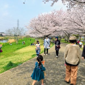 引地川親水公園