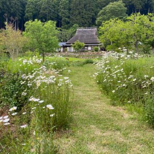 美山 かやぶきの里・北村