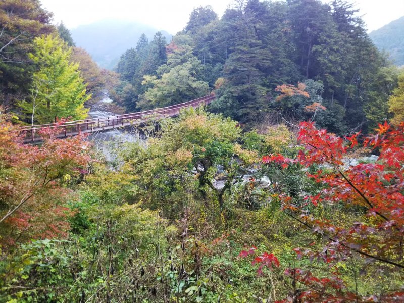秋川渓谷
