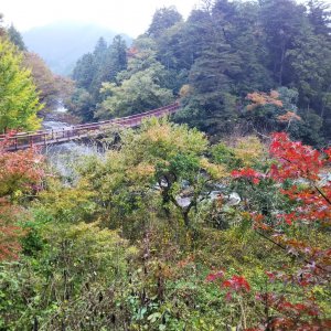 秋川渓谷