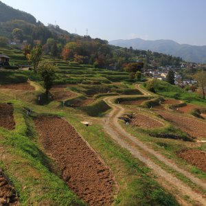 姨捨の棚田