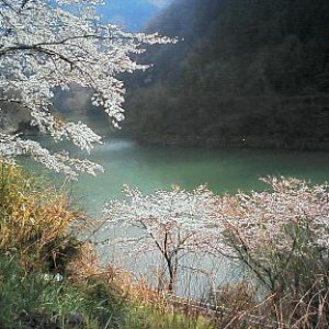 神流湖