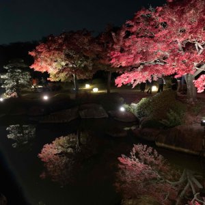 大仙公園 日本庭園