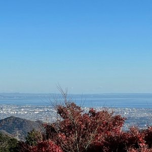 ヤビツ峠（菜の花台展望台）