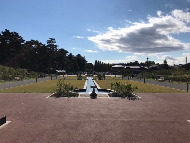 敷島公園門倉テクノばら園