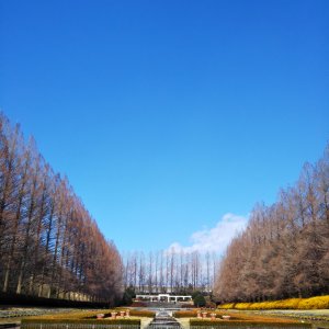 相模原公園