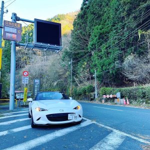 奥多摩周遊道路