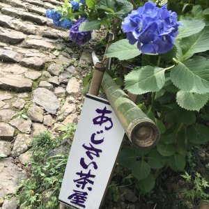 太平山県立自然公園