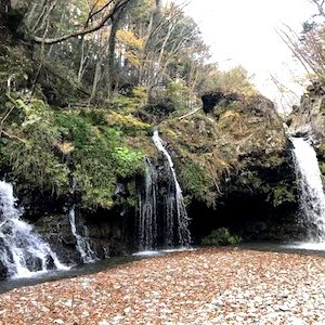 大棚の滝