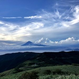 達磨山