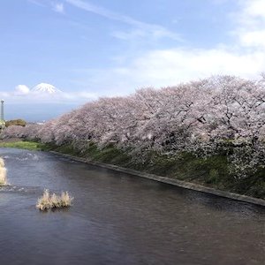 潤井川龍巌淵