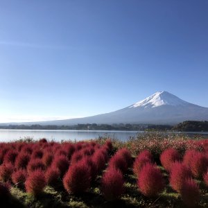 大石公園