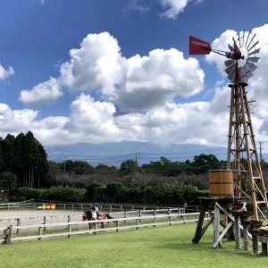 まかいの牧場