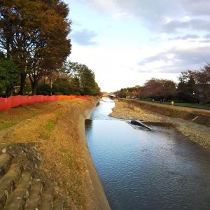 都立陵南公園