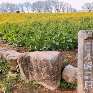 白木峰高原
