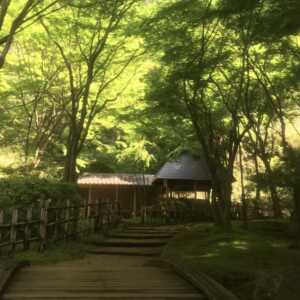 七沢森林公園