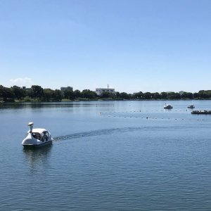 久喜菖蒲公園