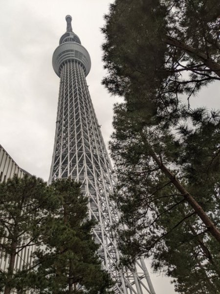 スカイツリー