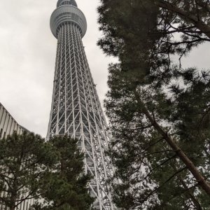 スカイツリー
