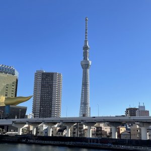 スカイツリー