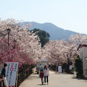 臥竜公園