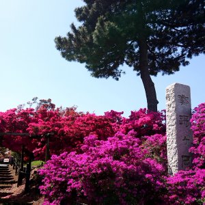 つつじが岡公園