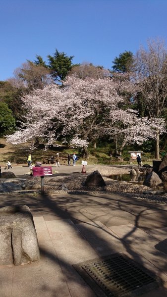 三ツ池公園