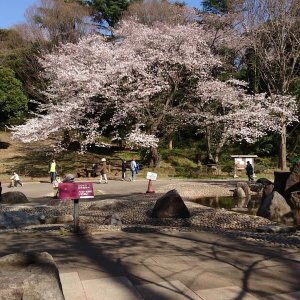 三ツ池公園